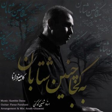 دانلود آهنگ جدید کامبیز دانا به کجا چنین شتابان
